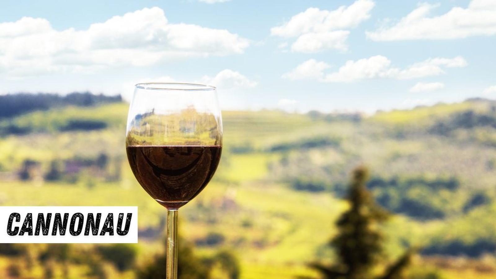 Cannonau: Il Gioiello Enologico Sardo, Profondo e Intenso