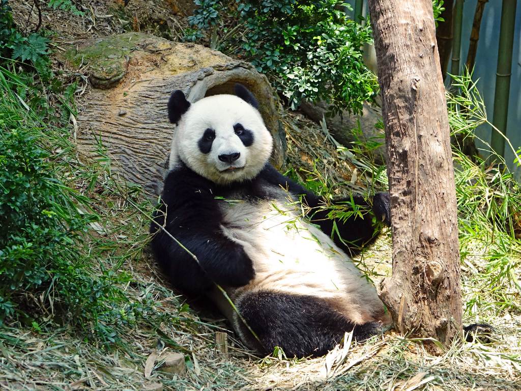 Zoo